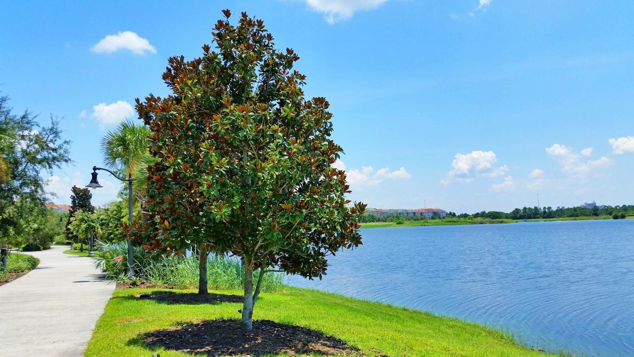 Universal Palms Kissimmee Luaran gambar